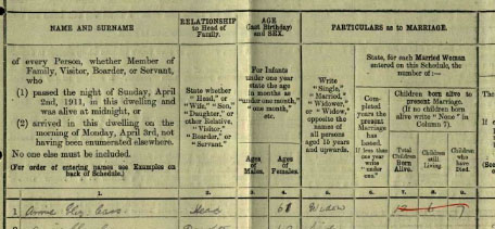 Extract from 1911 census showing number of children born to female householder.