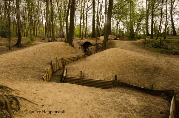 Original World War 1 trenches on land surrounded by trees