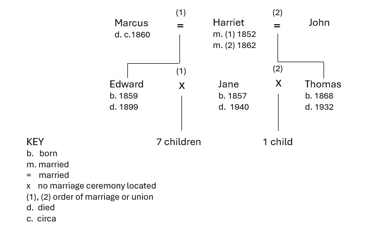 Drop line family tree chart showing one woman with two marriages, and a son from each marriage.  These two sons (consecutively) both married the same woman.  Children were born to both these marriages.